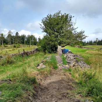 Our dry stone wall on the way up to Tarn Hows before being rebuilt.