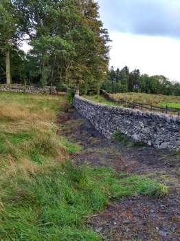 The wall rebuilt looking east toward Yewfield